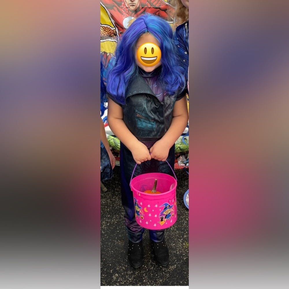 Disney Descendants- Mal Costume